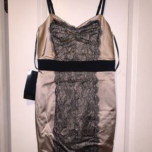Bebe Champagne, satin and lace evening dress
